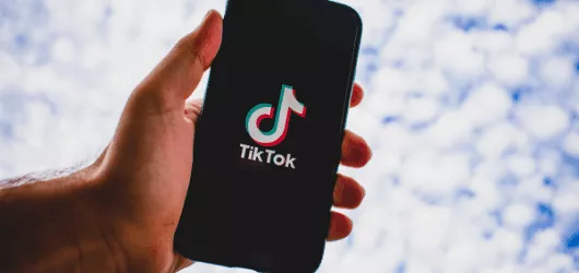 TikTok Video Saver